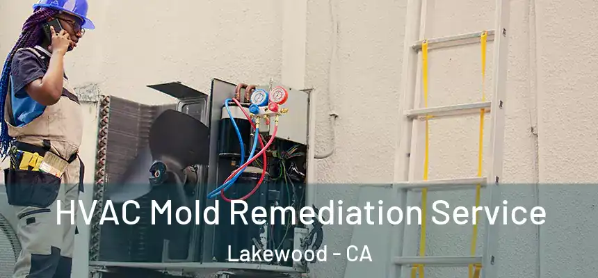  HVAC Mold Remediation Service Lakewood - CA