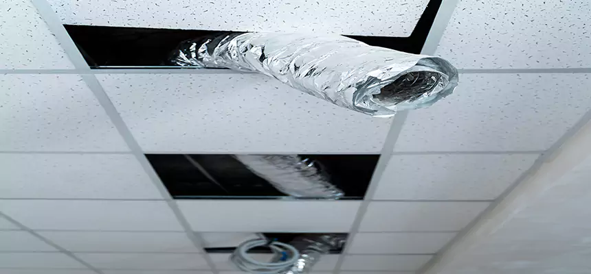 Affordable HVAC Sanitizing After Pest Removal in Lakewood