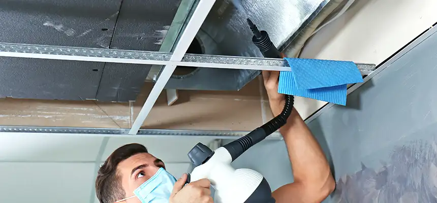 Our Air Duct Rodent Removal Services in Lakewood, CA