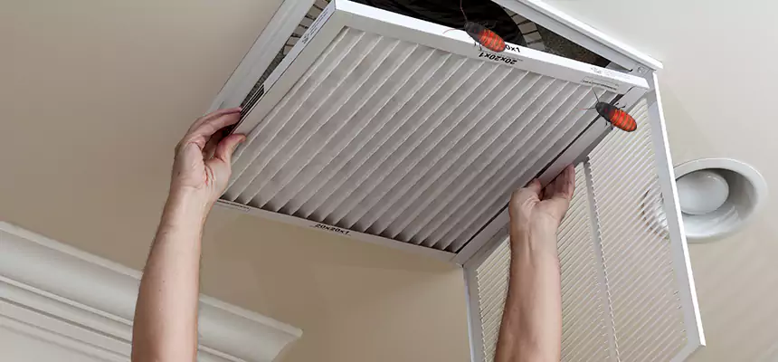 Our Insect Removal from Air Ducts Services in Lakewood, CA