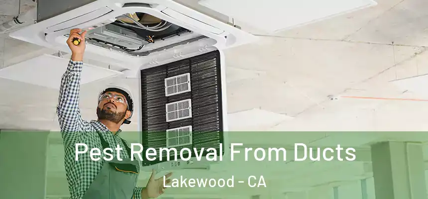 Pest Removal From Ducts Lakewood - CA