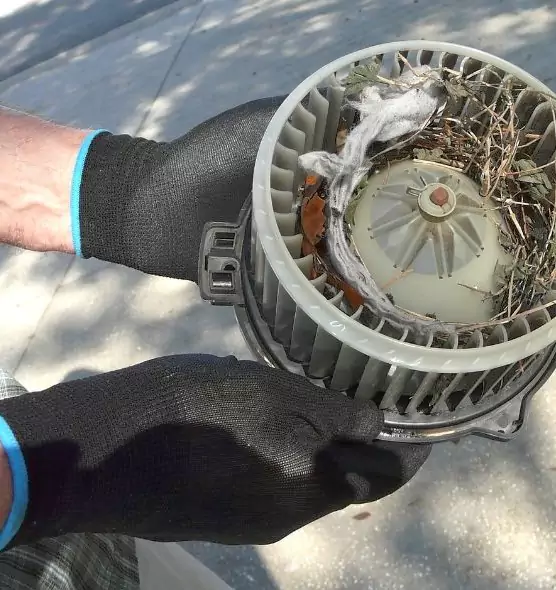 About Air Duct Mice Removal in Lakewood, CA