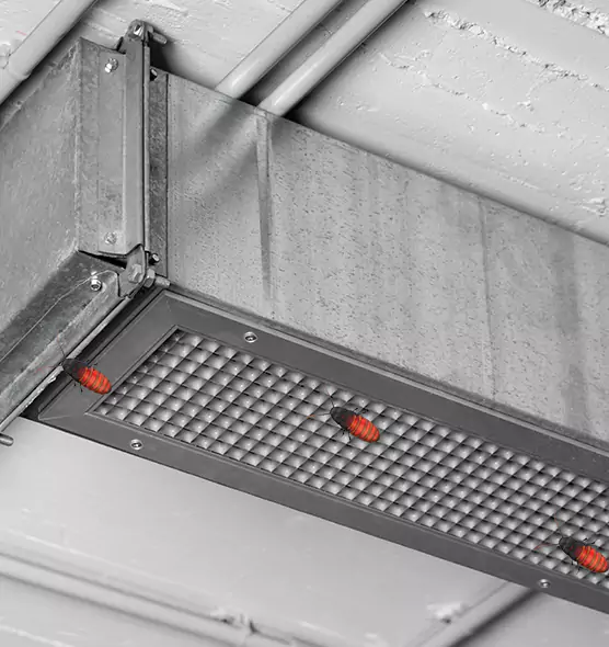 Affordable Insect Removal from Air Ducts in Lakewood, CA