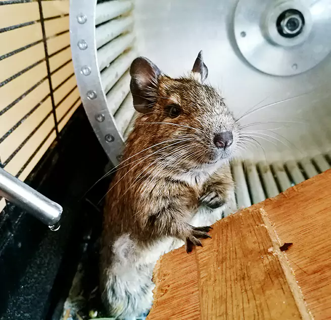 Why Homeowners & Businesses Trust Us Lakewood, CA?