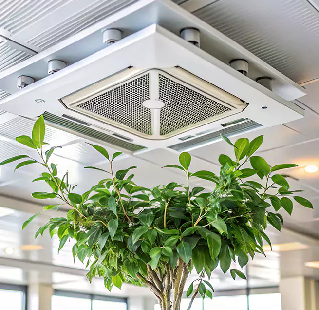 Why Homeowners & Businesses Trust Us in Lakewood, CA?